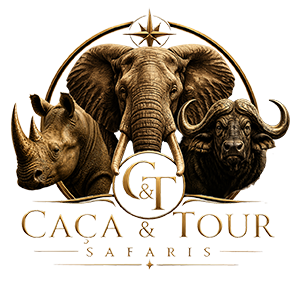 Caça & Tour – Safari